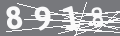 capsa